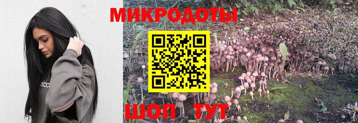 Галлюциногенные грибы Cubensis  Вход с VPN  Долгопрудный 
